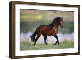 General of Legends-Bob Langrish-Framed Photographic Print