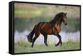 General of Legends-Bob Langrish-Framed Stretched Canvas