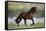 General of Legends-Bob Langrish-Framed Stretched Canvas