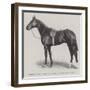 General Peace, Winner of the Lincolnshire Handicap-null-Framed Giclee Print