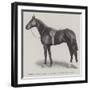 General Peace, Winner of the Lincolnshire Handicap-null-Framed Giclee Print