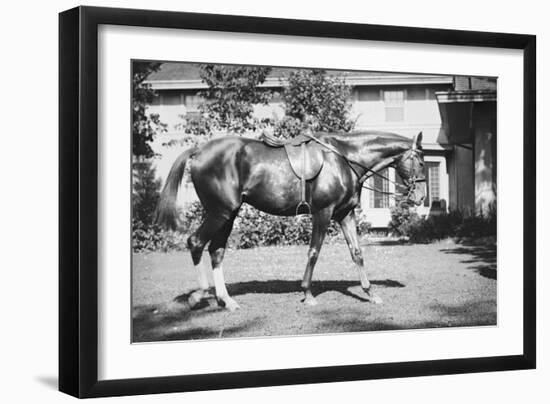 General Pershing's Horse Quidron-null-Framed Art Print