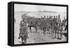 General Piet Cronje's Force on their March South During the Second Boer War-Louis Creswicke-Framed Stretched Canvas