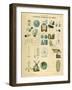 General Properties of Bodies, C1851-null-Framed Giclee Print