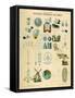 General Properties of Bodies, C1851-null-Framed Stretched Canvas