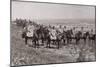 General Radko Dimitriev and His Chiefs of Staff Observing the Battle of Luleburgaz-null-Mounted Giclee Print