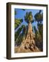 General Sherman in Sequoia National Park.-Jon Hicks-Framed Photographic Print