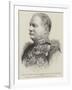 General Sir Herbert Macpherson, Commander in Chief of the British Forces in Burma-null-Framed Giclee Print