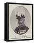 General Sir John Davis, Commanding Southern Division, Portsmouth-null-Framed Stretched Canvas