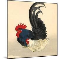 GENERAL TAO CHICKEN #3-R NOBLE-Mounted Art Print