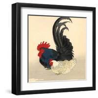 GENERAL TAO CHICKEN #3-R NOBLE-Framed Art Print