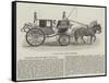 General Tom Thumb's Carriage-null-Framed Stretched Canvas