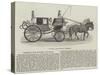 General Tom Thumb's Carriage-null-Stretched Canvas