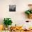 General View of a Large Printing Room in a Cotton Mill, Lawrence, Massachusetts, USA-null-Photographic Print displayed on a wall