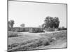 General View of Boxcar Shanty Town-null-Mounted Photographic Print