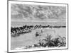General View of Hopetown, Abaco Island, C1890-A Kohl-Mounted Giclee Print