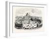 General View of St. Peters and the Vatican, Rome, Italy-null-Framed Giclee Print