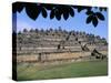 General View of Temple Mound, Buddhist Site of Borobudur, Unesco World Heritage Site, Indonesia-Bruno Barbier-Stretched Canvas