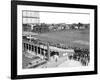 General View of the Oval Cricket Ground August 1947-Staff-Framed Photographic Print