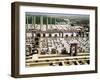 General View of the Palace, Achaemenain Period, 6th-5th Century BC-null-Framed Giclee Print