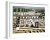 General View of the Palace, Achaemenain Period, 6th-5th Century BC-null-Framed Giclee Print