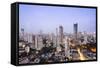 General View of the Skyline of Central Mumbai (Bombay), Maharashtra, India, Asia-Alex Robinson-Framed Stretched Canvas