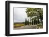 General view of the vineyard and cypress alleys at Ciacci Piccolomini D'Aragona-Sergey Orlov-Framed Photographic Print