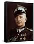 General Wladyslaw Sikorski-null-Framed Stretched Canvas