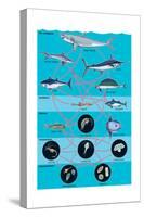 Generalized Aquatic Food Web. Marine Ecosystem, Biosphere, Earth Sciences-Encyclopaedia Britannica-Stretched Canvas