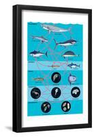 Generalized Aquatic Food Web. Marine Ecosystem, Biosphere, Earth Sciences-Encyclopaedia Britannica-Framed Poster