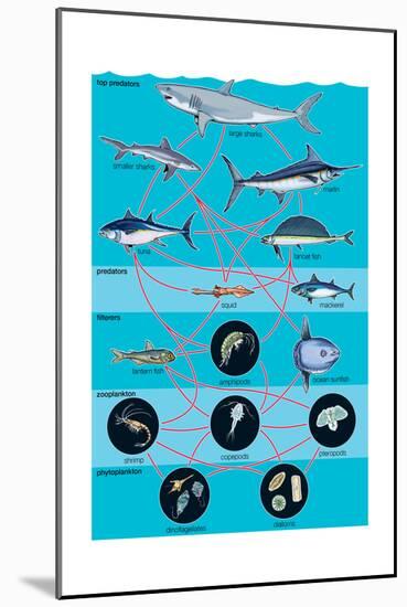 Generalized Aquatic Food Web. Marine Ecosystem, Biosphere, Earth Sciences-Encyclopaedia Britannica-Mounted Poster