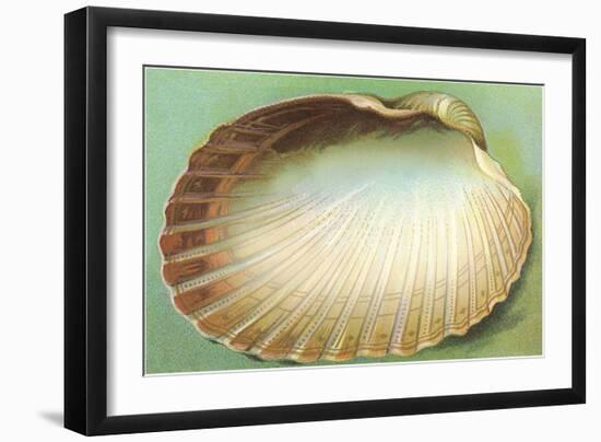 Generic Clam Shell-null-Framed Art Print
