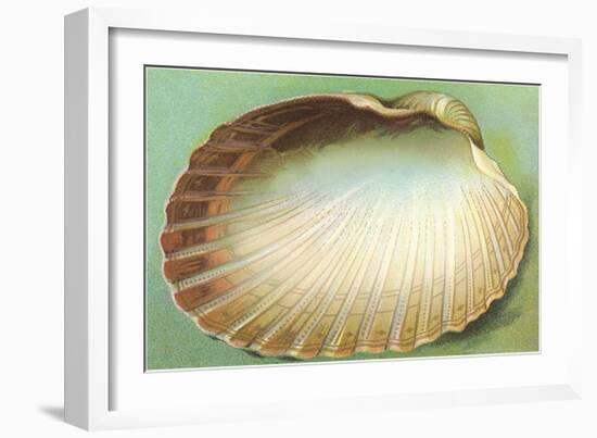 Generic Clam Shell-null-Framed Art Print