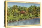 Stretched Canvas