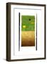 Genesis Day 3: Vegetation, 2014-Francois Domain-Framed Giclee Print