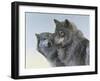 Genesis-Rusty Frentner-Framed Giclee Print