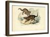 Genet, 1863-79-Raimundo Petraroja-Framed Giclee Print