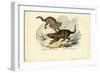 Genet, 1863-79-Raimundo Petraroja-Framed Giclee Print