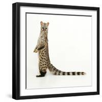 Genet-Andy and Clare Teare-Framed Premium Photographic Print