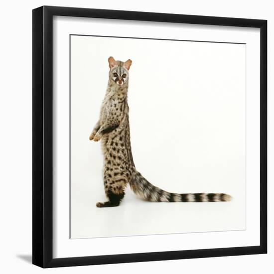 Genet-Andy and Clare Teare-Framed Premium Photographic Print