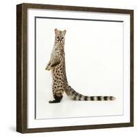 Genet-Andy and Clare Teare-Framed Photographic Print