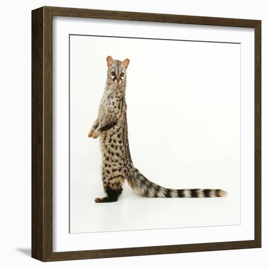 Genet-Andy and Clare Teare-Framed Photographic Print