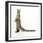 Genet-Andy and Clare Teare-Framed Photographic Print