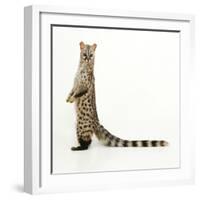 Genet-Andy and Clare Teare-Framed Photographic Print