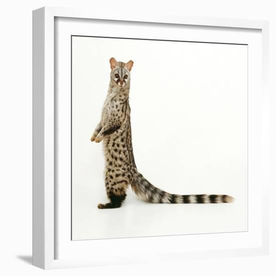 Genet-Andy and Clare Teare-Framed Photographic Print