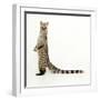 Genet-Andy and Clare Teare-Framed Photographic Print