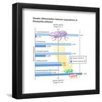 Genetic Differentiation Between Populations of Drosophila Willistoni. Evolution-Encyclopaedia Britannica-Framed Poster