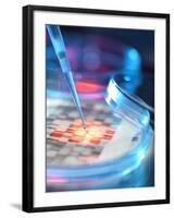Genetic Research, Conceptual Image-Tek Image-Framed Photographic Print