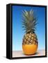 Genetically Modified Fruit Hybrid-Victor De Schwanberg-Framed Stretched Canvas