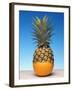 Genetically Modified Fruit Hybrid-Victor De Schwanberg-Framed Photographic Print